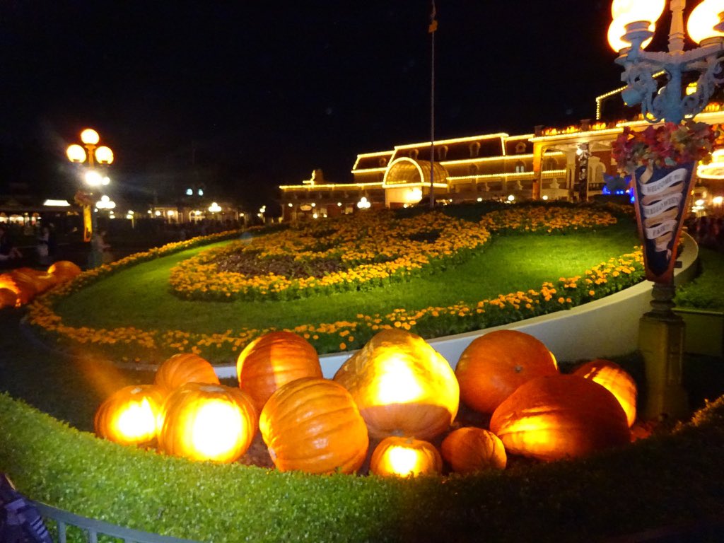 Ta4k_disney's tweet photo. じきにハロウィンも終わりか…
クリスマスも楽しみ！

#twitter上にいるDヲタ全員と繋がるのが密かな夢だったりするのでとりあえずこれを見たDヲタはrtもしくはフォローしていただけると全力でフォローしに行きます https://t.co/kiYMjCO5XR