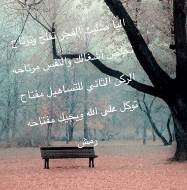 k_mmmu's tweet photo. https://t.co/1tKE4uTxjw