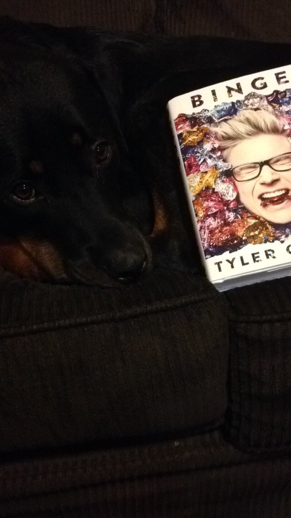 niftyoakley's tweet photo. @tyleroakley All 3 of my dogs love you!!! #PetsReadingBinge https://t.co/7VMZNMjCAp