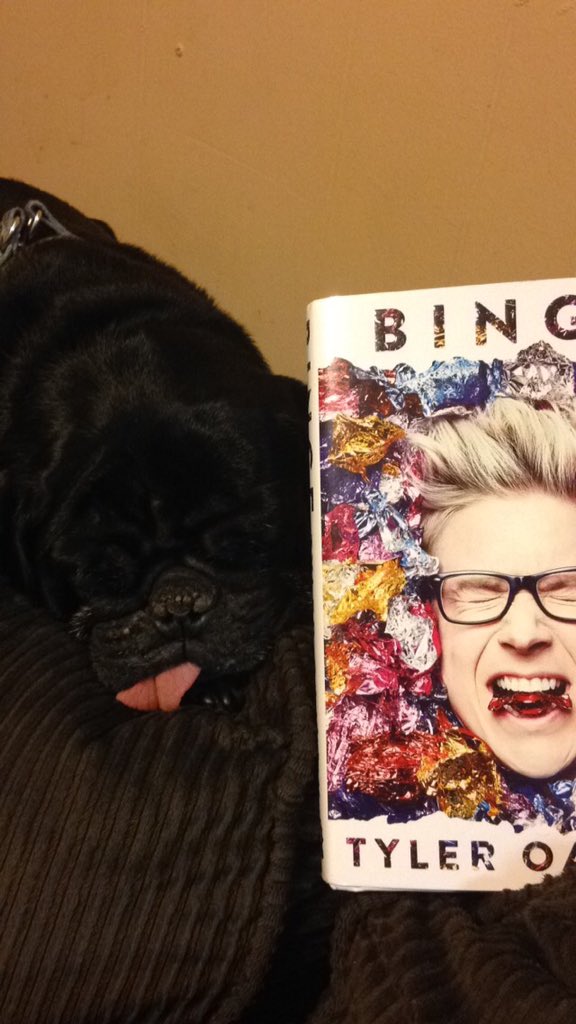 niftyoakley's tweet photo. @tyleroakley All 3 of my dogs love you!!! #PetsReadingBinge https://t.co/7VMZNMjCAp