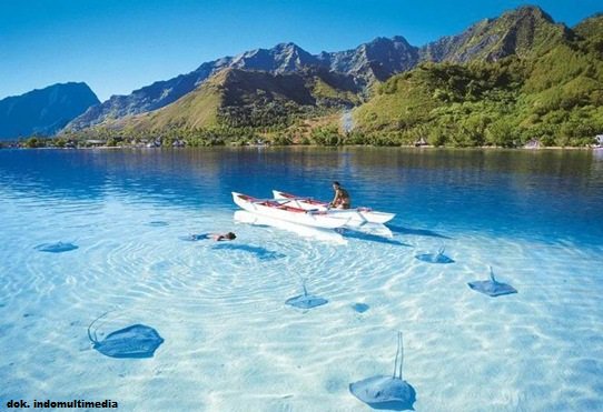 bookpanorama's tweet photo. Pantai Iboih di Pulau Weh #Sabang , Airnya Bening Banget! https://t.co/ZhH8apoBZN https://t.co/w81rkqGA5B