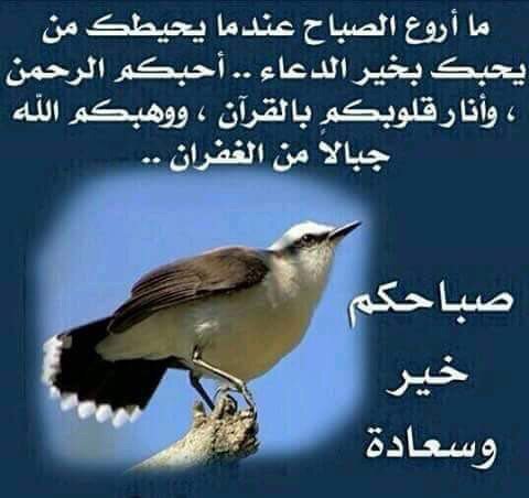 aser1211 tweet picture