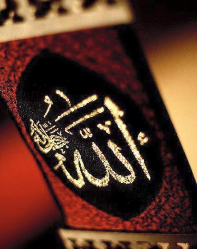 arslan245 tweet picture