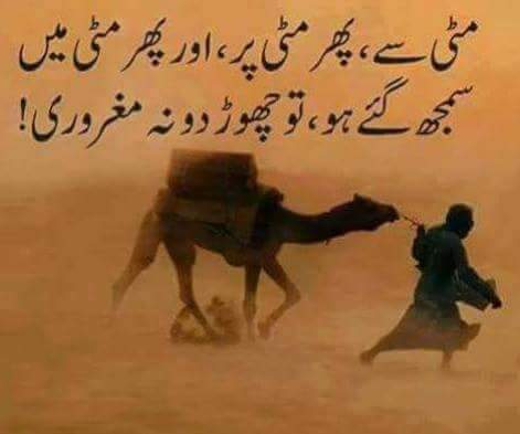 arslan245 tweet picture