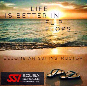 ScubaCatDiving's tweet photo. Need more Work Opprtunities?  Crossover to SSI Instructor at Scuba Cat Diving https://t.co/TVQ7KBeidd https://t.co/OEZ9Sg3uiC