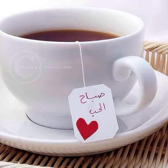DimoHassan's tweet photo. @tamerhosny   
لو حسبنا العمر الفنى للفنان بعقله وإحساسه أعتقد أن عمرك الفنى سيح��اج إلى ألف ندوة وندوة Allan Y7Fzk https://t.co/CKY4qqJoRw
