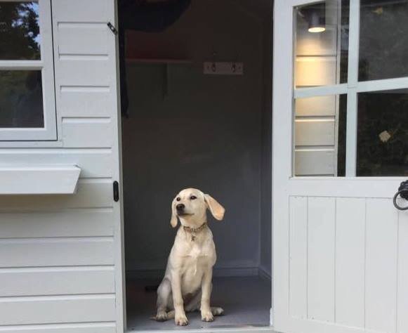 TheDogCottageCo's tweet photo. Beautiful new #dogcottage installed for Ruby the #Labrador in Staffordshire https://t.co/qeDrY8FTek