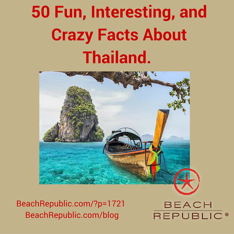 Beach Republic tweet media