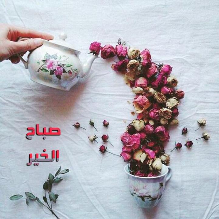 Fadia qaddour (@gfdtrhg) on Twitter photo 