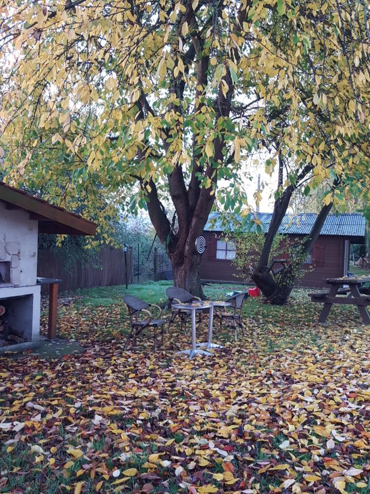 By_Hillaryy's tweet photo. I love autumn, beautiful colors in my garden ❤ https://t.co/Q7TXbJDrRa