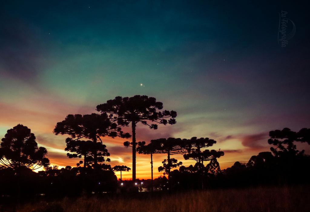 MeChamaDeLuu's tweet photo. Às vezes vemos sol e estrelas simultaneamente, nesse momento, podemos abraçar dois mundos #SdvComRonneStranger https://t.co/HHpFd07nJy