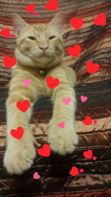 Il mio splendido amore!!!: )))