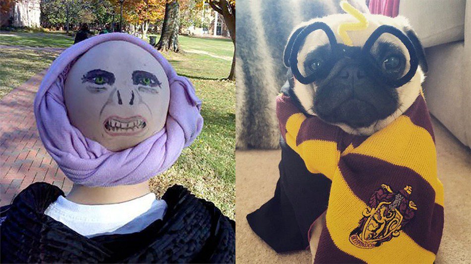 Mashable on Twitter "13 quirky 'Harry Potter' costume ideas to make