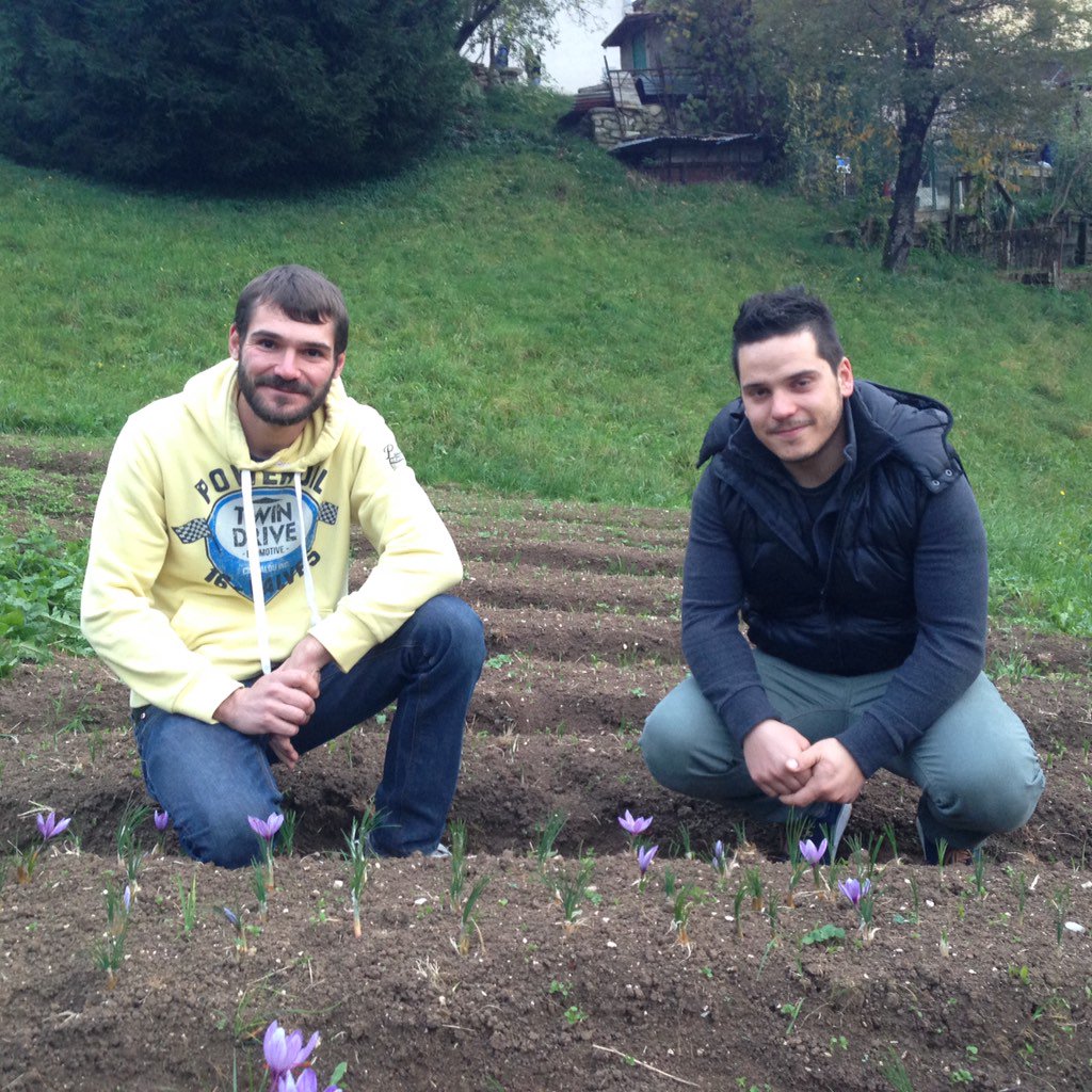 Veronagusto's tweet photo. Gabriele, Fabio and Loris are three young guys, here in #Verona, with a great challenge: grow #saffron in #Lessinia! https://t.co/78i6GypoH9