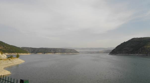 Davos's tweet image. What can Africa learn from Turkey’s reforestation? wef.ch/1Wk9gtf