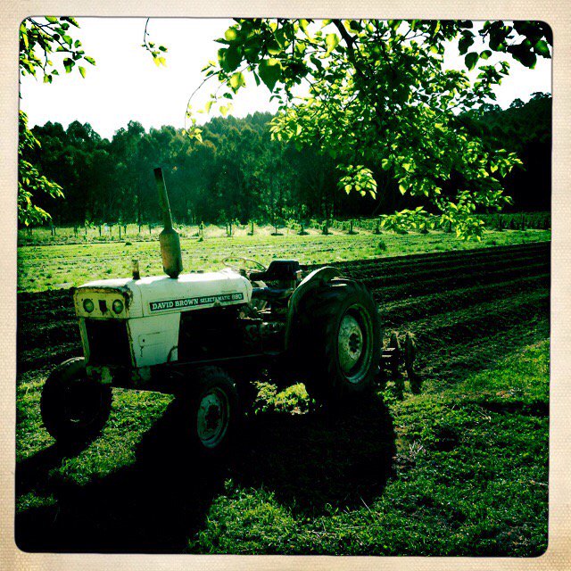 Gentleannie opens season on saturday