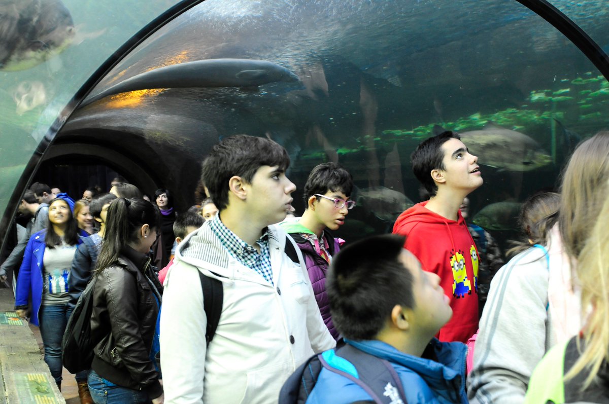 cooperacion's tweet photo. Voluntarios de @anadat_es con chicos de @FundacionAdemo en @parquefaunia #DSE15 con @_cooperacion y @FundATRESMEDIA https://t.co/4We25q7BZ1