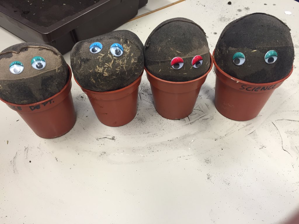 MissERGreen's tweet photo. Making grass heads for our science experiment 🌾🌿 https://t.co/uDUFjOhJC3