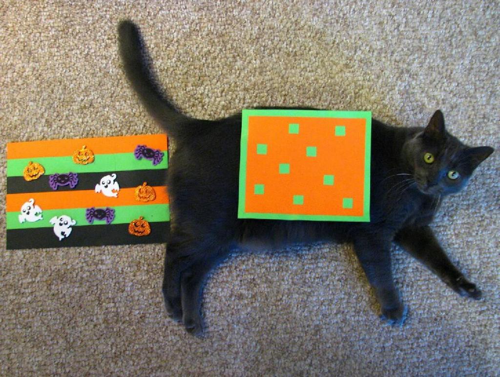 HAPPY #nationalcatday !