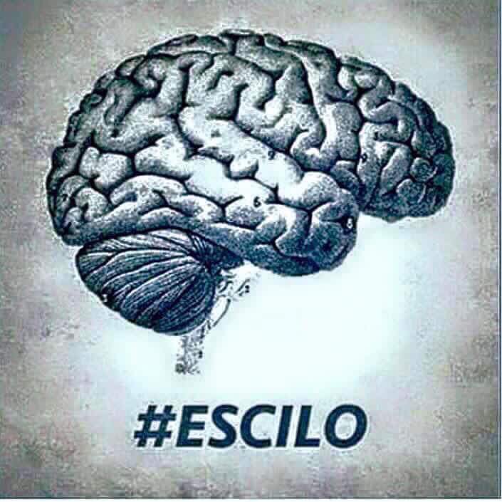 ZenPlaka's tweet photo. #escilo #anchete https://t.co/a7c5SDoJ3j