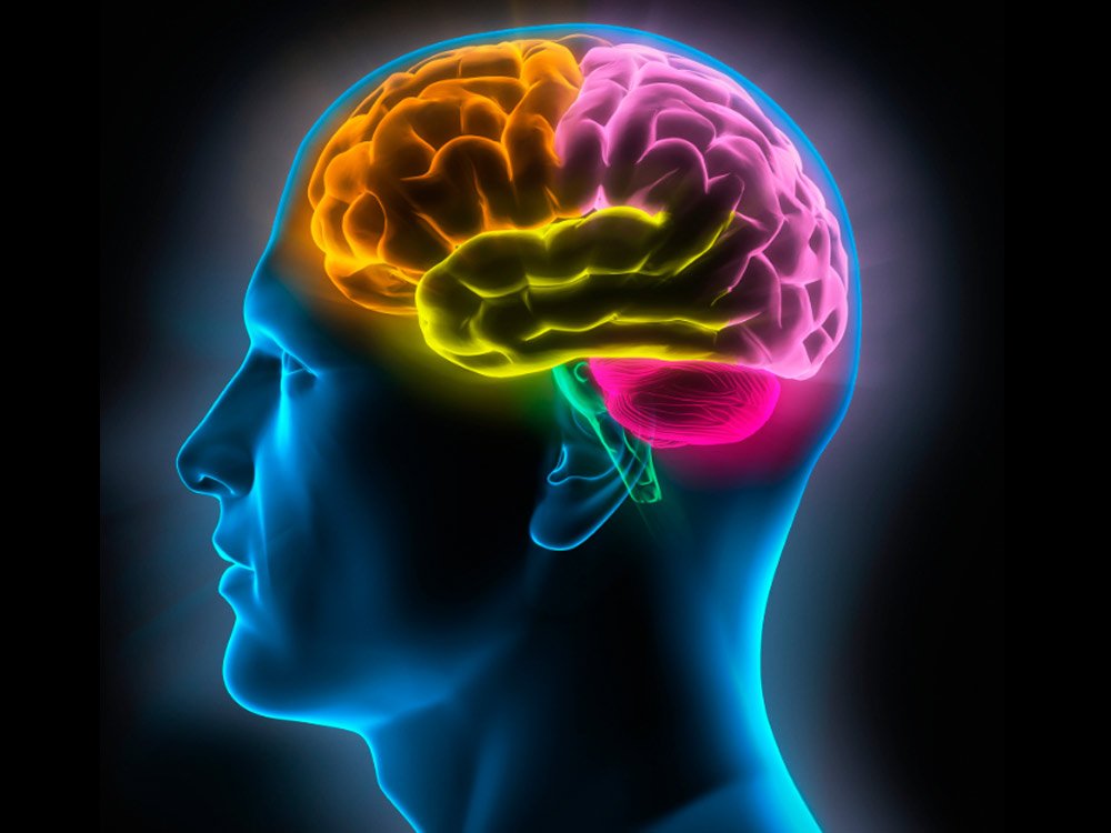 muyinteresante's tweet image. El cerebro también olvida. ¿Para qué lo hace? ¿Cómo? ¡Te lo contamos! muyinteresante.es/ciencia/articu…