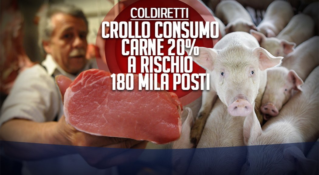 RaiPortaaPorta's tweet photo. Ieri a #portaaporta: #oms #carnerossa #caffè #lavoro #Sinve @coldiretti https://t.co/Qx4DcNJ6GC https://t.co/VsfODF45Sl