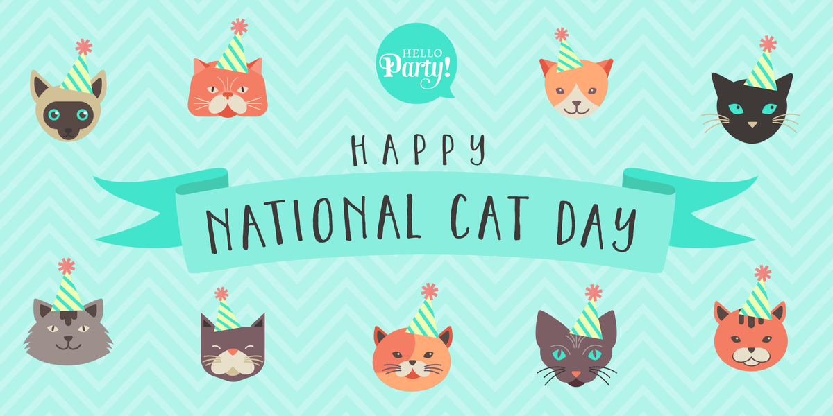 hellopartyuk's tweet photo. Happy #NationalCatDay! Give the cats some love today 😻 #partytime #hellopartytime https://t.co/udpQngmbMt