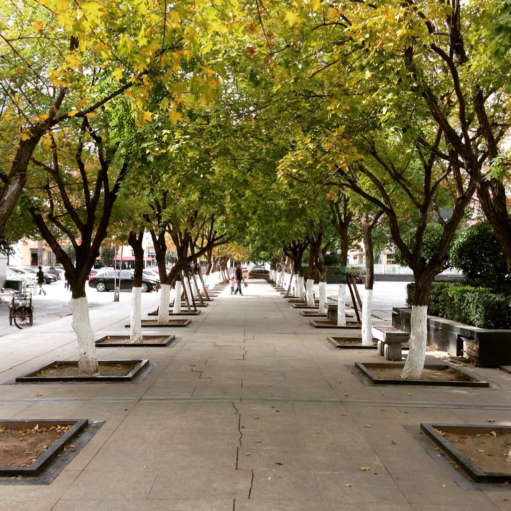 317183721's tweet photo. 🍂 https://t.co/nH5Tsm58DM