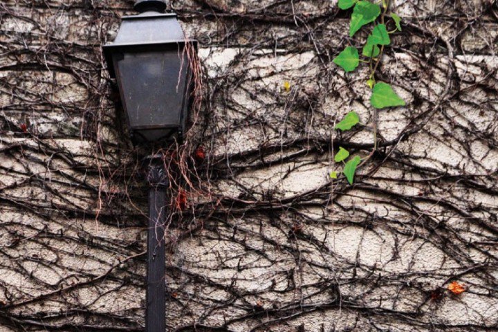 lemurate's tweet photo. MEDIARC  29 e 30 ottobre, dalle 16 alle 24  a Le Murate. Progetti Arte Contemporanea. https://t.co/yFjQsT2JaM https://t.co/UtR489byKd