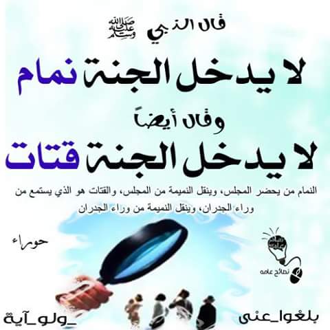 MuhammedSofiya's tweet photo. https://t.co/Nnwsq5bxht