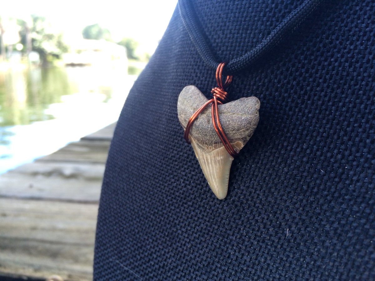 SharkyGoodsShop's tweet photo. Pre-wrapped, Custom, Adjustable 550 Nylon Paracord Fossil Shark Tooth Neck… https://t.co/UGASqvc5Yr #Etsy #Megalodon https://t.co/1Nh8H9ShA7