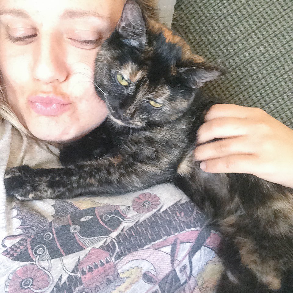 MichaelaJayneS's tweet photo. Omg it's #NationalCatDay and Louise has no idea! I'll tell her later.😻😻😻 https://t.co/NIvRqDViji