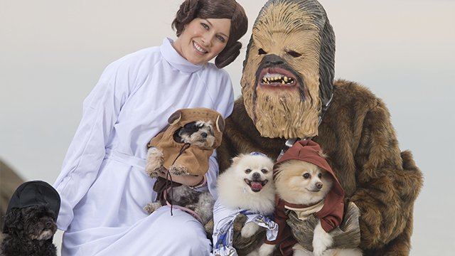 tv_brendon's tweet photo. @heidimontag, @spencerpratt and Their Puppies Look Adorable in 'Star Wars' Costumes https://t.co/0lEMQAtF9X https://t.co/fjlFON72Rk