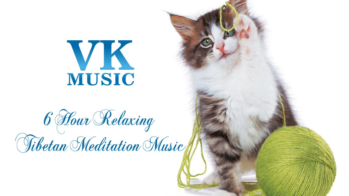 GosuStash's tweet photo. VK Music playlist all video (Yoga, Zen, Piano, Guitar, Violin, FLute, Study and Sleep Music)
https://t.co/fRIZdAm78v https://t.co/BNIvQOVYRC