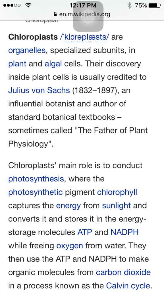 MrsChloraplast's tweet photo. Basis of all life right here 🤘🏻 vote me for prez #organellewars https://t.co/LsDdhSI2LQ