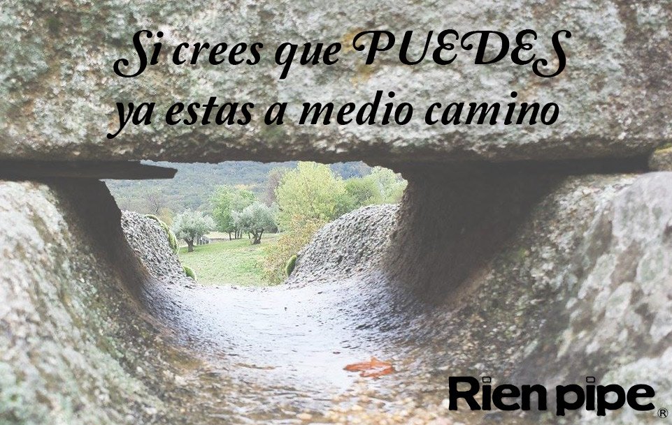 rienpip tweet picture