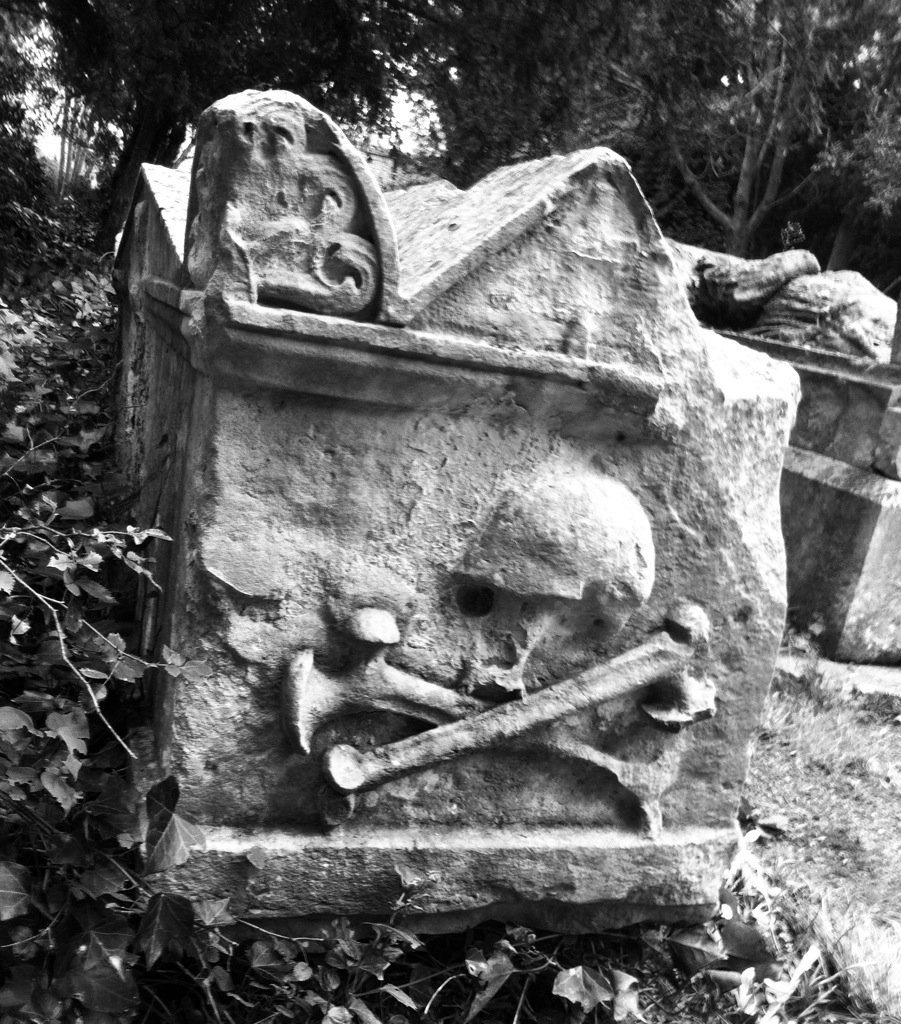 CarolineRaby's tweet photo. Walking back home #LovelyPath #Halloween we're nearly there 🎃
#HalloweenMood 💀👻 https://t.co/p4HwkDOoPC