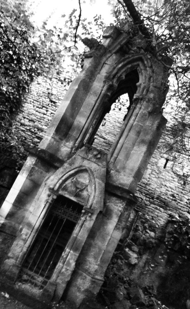 CarolineRaby's tweet photo. Walking back home #LovelyPath #Halloween we're nearly there 🎃
#HalloweenMood 💀👻 https://t.co/p4HwkDOoPC