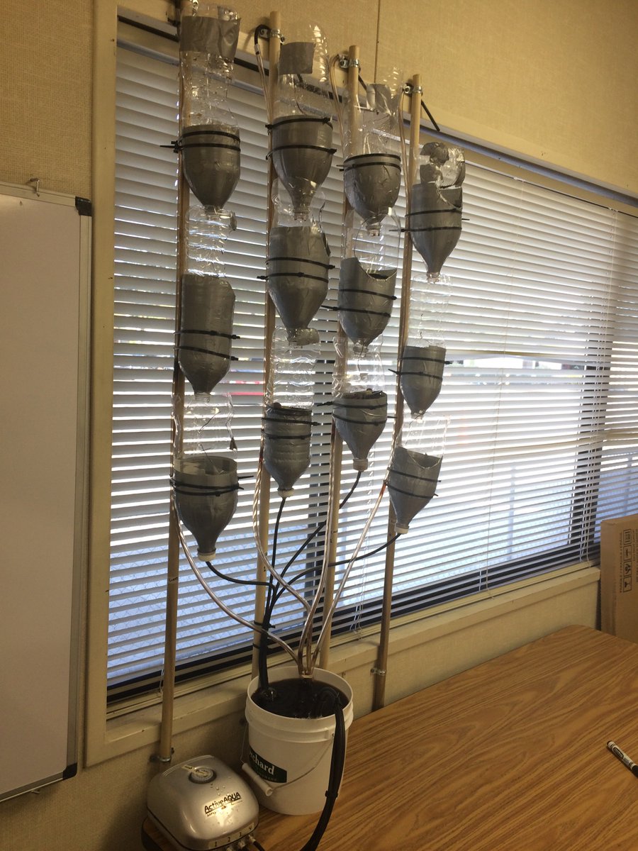 hgtedo's tweet photo. The #8thgrade has #installed #windowfarms in #middleschool #classrooms. #Minorfixes made this week. #hydroponics https://t.co/9I4lRra5qV