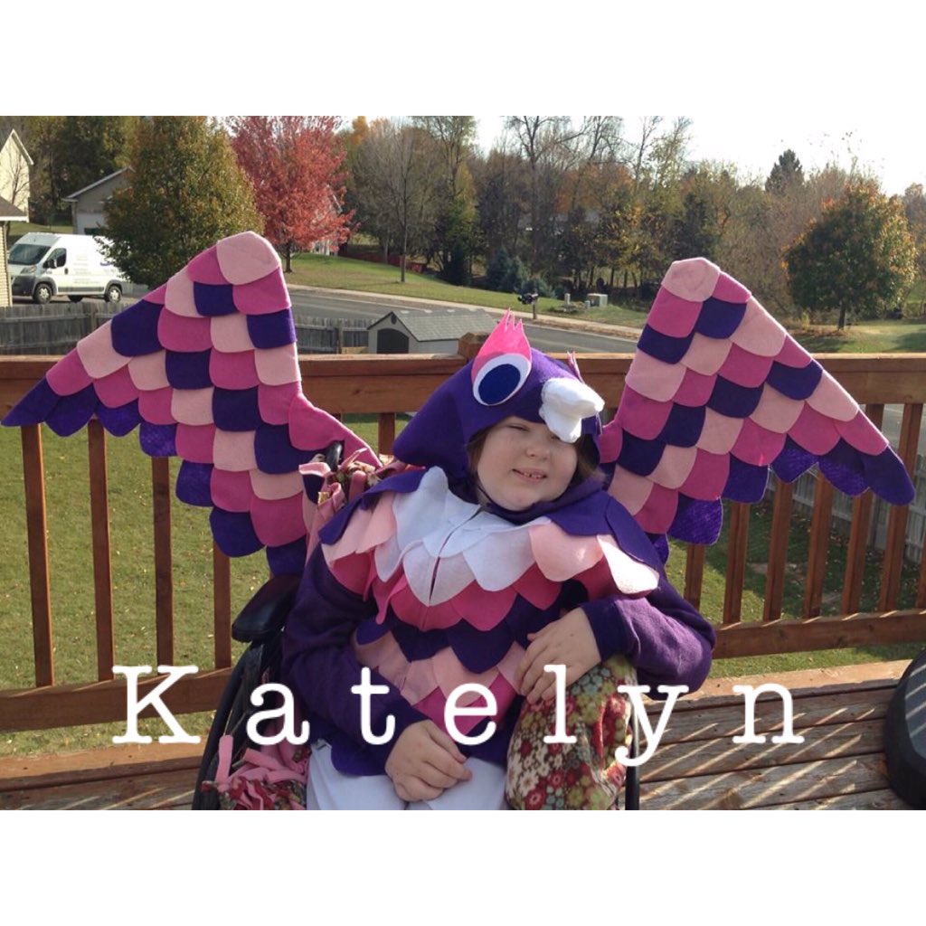 rileighmack_'s tweet photo. She never got the chance to try out her fake wings, but I hope she's having fun with her real ones. I love you ❤️👼🏼 https://t.co/0FgAUdQ6cR