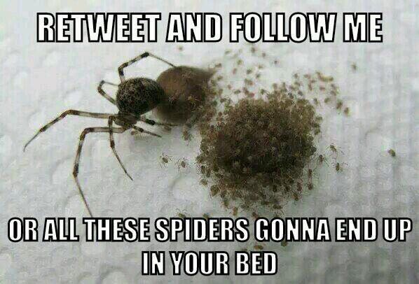 Wouldn't want to risk it