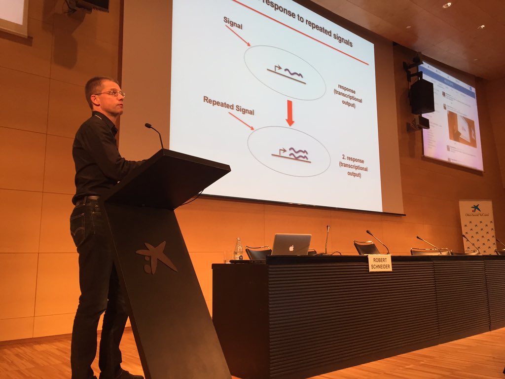 ludicroce's tweet photo. Rob Schneider is preventing data on transcriptional memory !  #BCEC2015 https://t.co/P1ueDxRlKd