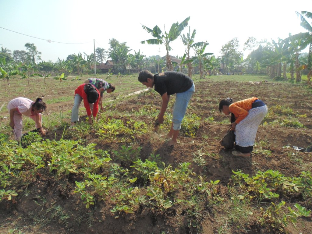 Ini nih, proker-nya Kementan. GENTA. Gerakan Cinta Pertanian. Siapa yang kemaren jadi panitianya? :D #kisahkita