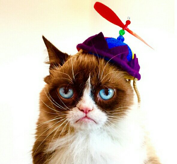 CraveLocalBOS tweet picture
