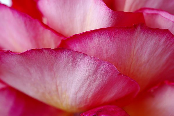 We Believe In Natural #Rejuvenation - Book Your FREE Consultation Today: ow.ly/TJ8Sp
#beauty #antiaging