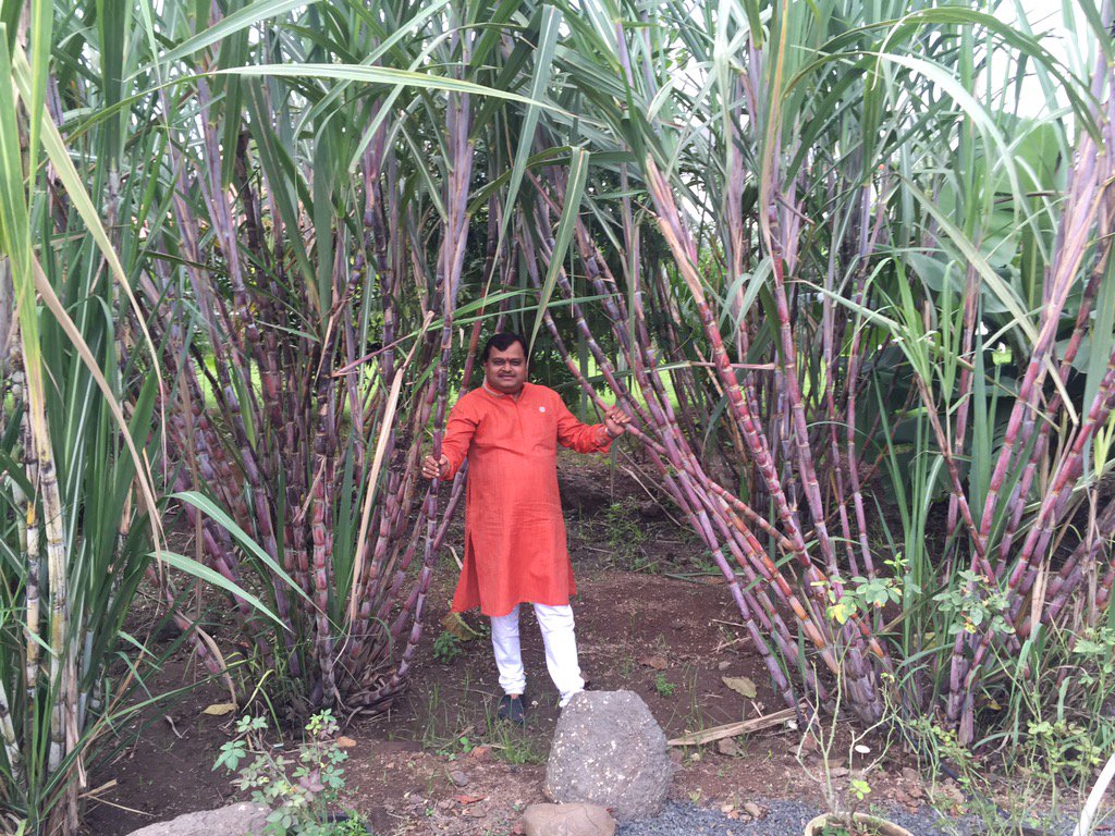 SureshChavhanke's tweet photo. . @RoflGandhi_ #Vote4Sugarcane because it's belong to Farmer brothers vs church supporter #StopPepsi-Coke https://t.co/RfsBRiUVlc