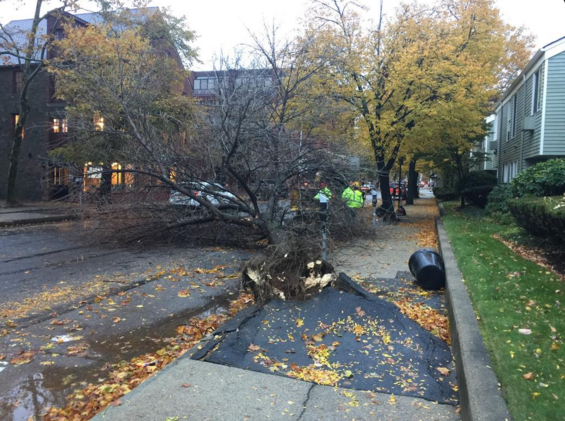 Anaridis's tweet photo. 5k w/o power at the height of storms in #RI, # now down to 500+ @PEMA591 responds to flooding &amp; downed trees. @AMHQ https://t.co/XbKNPV19C3
