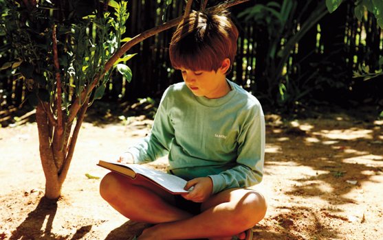 #브라질영화제 10/30(금) 15:00 <나의 라임 오렌지 나무> 말썽쟁이 공상가 제제와 원수같은 뽀르뚜 아저씨, 그리고 그들의 우정! 어린시절 읽었던 그...