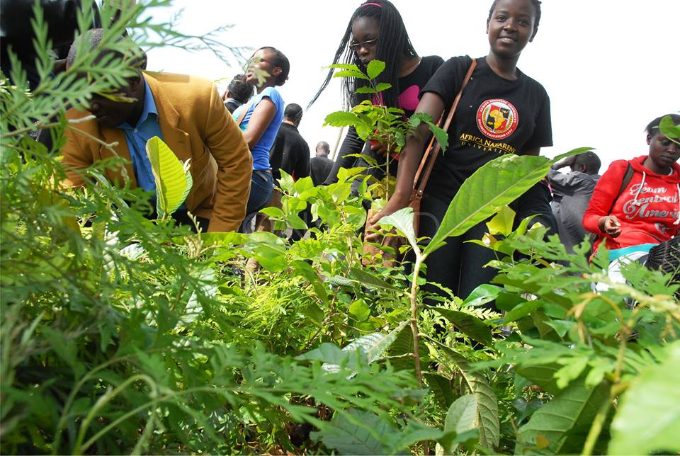 onward254's tweet photo. Climate change is a real threat. - @greenkenyaa @hrw 

https://t.co/Iz1GEjbfgk

#NoLitter #iSupportBanPlasticsKE https://t.co/dB5pcvo7pf