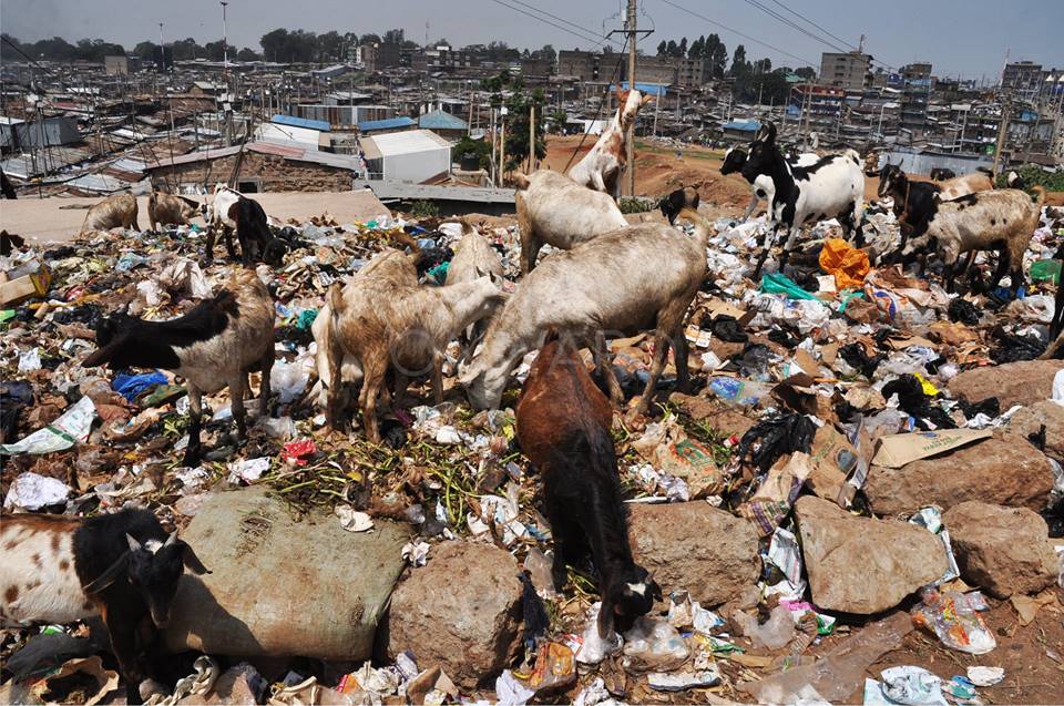 onward254's tweet photo. Climate change is a real threat. - @greenkenyaa @hrw 

https://t.co/Iz1GEjbfgk

#NoLitter #iSupportBanPlasticsKE https://t.co/dB5pcvo7pf